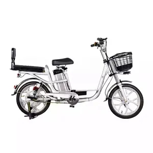 도시 Ebike 18 인치 고탄소강 60V12ah 리튬 배터리 350W 모터 전기화물 자전거