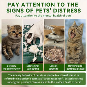 개를위한 OEM 소프트 스트라이프 디자인 실리콘 진정 펜던트 고양이 스트레스 불안 완화 파이팅 긁힘 짖는 소리 용 리본 - Product Image 4