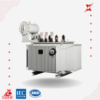Transformateur électrique triphasé abaisseur de tension OEM de 50 kVA à 5000 kVA