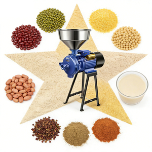 <span class=keywords><strong>Broyeur</strong></span> humide et sec 3500W 220V avec tête de broyage lavable facile à nettoyer, capacité de 60 kg/h, garantie 1 an pour cuisines indiennes - Product Image 1