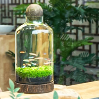 Fabricant d'accessoires d'aquarium, design artistique, petit aquarium de bureau, aquarium en verre, aquarium pour poissons