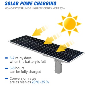 2023 nouveau 6V intégré photovoltaïque lampadaire éclairage extérieur LED Source de lumière 100W 250W IP65 aluminium lampadaire solaire - Product Image 4