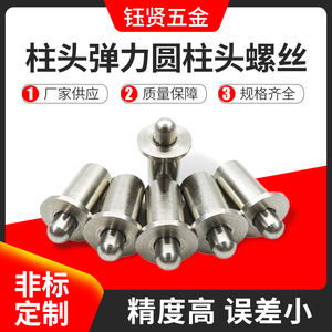 Spring-loaded Cylindrical <b>Head</b> <b>Screw</b> Stainless Steel Metric No Thread <b>Round</b> <b>Head</b> Multi-position Plunger For Standard Use - Product Image 5