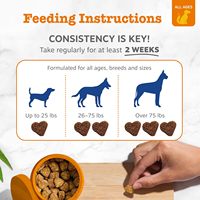 Compléments alimentaires pour chiens entièrement personnalisés, à absorption rapide, multivitamines probiotiques, pour tous les âges, avec huile de saumon oméga 3.