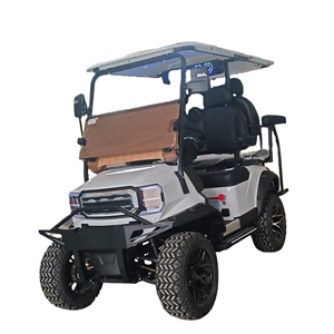 Navette électrique TONGCAI à <span class=keywords><strong>4</strong></span> places, silencieuse et confortable, pour les villages <span class=keywords><strong>de</strong></span> retraite et les centres <span class=keywords><strong>de</strong></span> soins aux personnes âgées - Product Image 2