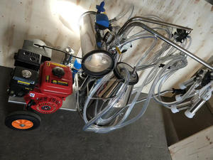 Machine à traire les vaches mobile, double alimentation essence <span class=keywords><strong>et</strong></span> électrique, avec seau en acier inoxydable 304 pour ferme laitière - Product Image 4