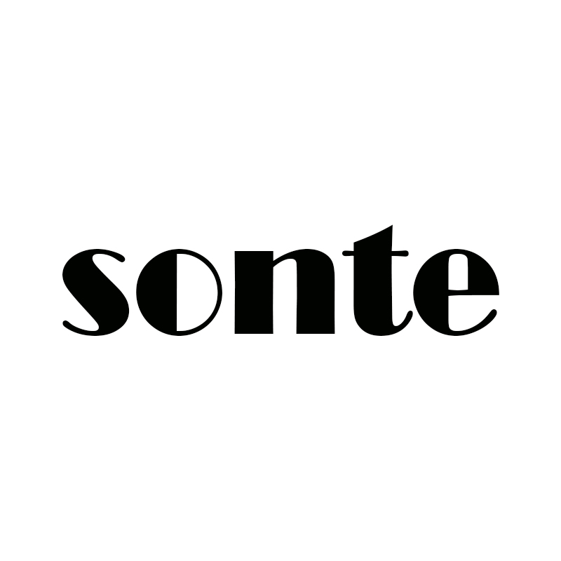 Guangzhou Sonte Import And Export Trading Co., Ltd. logo