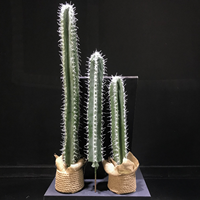 Succulentes en pot de cactus de haute qualité La plante en pot succulente artificielle la plus vendue