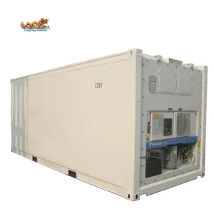 20 Feet Chiller And Freezer 20ft Freezer Reefer Container Cold Storage Room With Daikin Refrigerated Cooling Unit