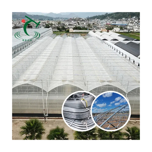 Polytunnel Greenhouse Supply Juego completo Plástico Muti-span Hdpe Green House PE Film Arch Film Invernadero de un solo tramo para tomate - Product Image 2