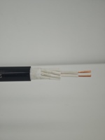 Kabel Kontrol Fleksibel 10G1.5 Berisolasi PVC Tembaga 300/500V Multicore untuk Mesin Perkakas