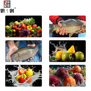 Balık Zeytin Kivi Meyve ve Sebze Kabarcıklı Temizleme Makinesi Ispanak Fıstık Sarımsak Temizleme Makinesi Deniz Ürünleri Temizleme Makinesi - Product Image 2