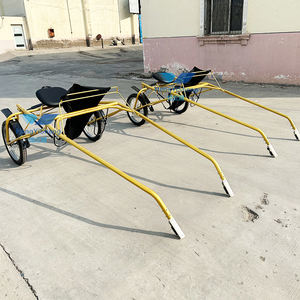 Customized Various <b>Small</b> Marathon Mini Carriages From China Factory with Favorable Price - Product Image 6