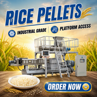 Machine industrielle de fabrication de nouilles avec moteur, écologique, automatique, pour riz enrichi en nutriments