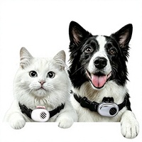 Traceur GPS pour animaux de compagnie étanche IP65, autonomie de plus de 20 heures, traduction du comportement des animaux, application double plateforme Android & iOS, produit phare aux États-Unis