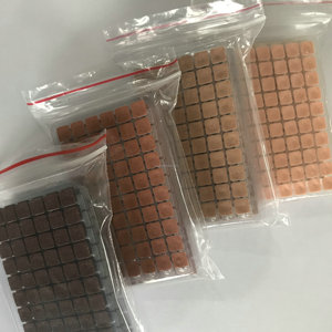 डिस्पोजेबल प्रकृति एक्यूपंक्चर कान गोली Vaccaria बीज - Product Image 4