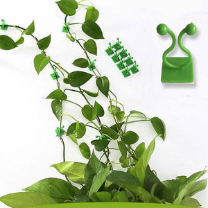 Clips de <span class=keywords><strong>fixation</strong></span> <span class=keywords><strong>murale</strong></span> <span class=keywords><strong>grimpante</strong></span> pour plantes Clips de <span class=keywords><strong>fixation</strong></span> de vignes murales <span class=keywords><strong>Fixation</strong></span> de plantes grimpantes auto-adhésives pour plantes grimpantes Petite taille 18*22*28mm - Product Image 6