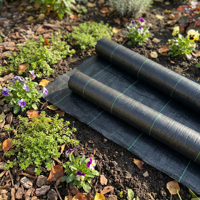 Toile de paillage agricole en PP robuste – Barrière anti-mauvaises herbes et couverture de sol durable pour la plantation en ferme