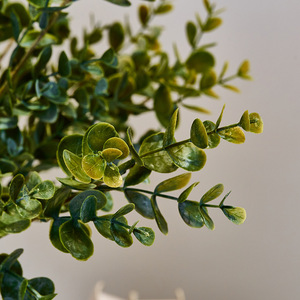 เฟอร์นิเจอร์ใบไม้นุ่มรู้สึกถึงห้องนั่งเล่นยูคาลิปตัสจัดดอกไม้ตกแต่งบ้านห้องนั่งเล่นเรียบง่ายต้นไม้ในร่ม - Product Image 3