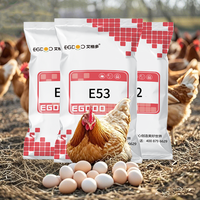 5% Complexe de Prémélange de Couche d'Œufs Alimentation Directe d'Usine OEM Acides Aminés de Qualité pour la Pose de Poulet Poussin Poussin Brillant Prêt