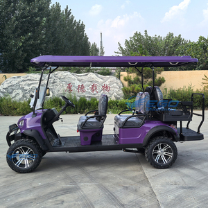 Carrito de Golf de 6 Plazas de Alta Calidad 2025 con Batería de Litio de Nueva Energía, Carrito de Golf Personalizado para Movilidad en el Campo, en Oferta - Product Image 6