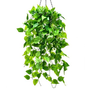 Décoration murale Angesi en lianes artificielles, verdure en soie pour la décoration intérieure, 10 cm et moins - Product Image 4