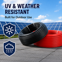 Bestseller 2,5mm XLPE-Stromkabel Verzinntes Kupfer LSZH-Mantel Niederspannungs-Flexkabel für Solar-PV-System-Installation