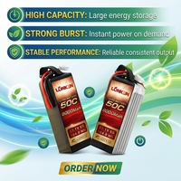 Batterie LiPo LongKun 6S 23.1V 8000mAh 50C à décharge élevée 184.8Wh pour drone RC, UAV, avion OEM/ODM