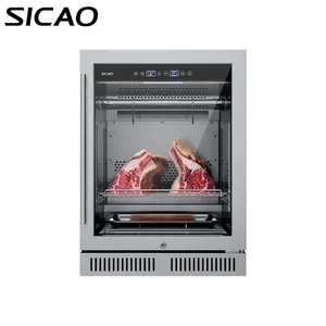 A base di carne Macchina di Vecchiaia Piccola Bistecca Frigo DA150S Gabinetto di Casa Secca Invecchiamento Frigorifero