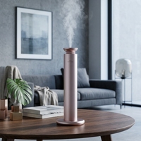 Diffuseur d'arômes en alliage d'aluminium de luxe pour hôtel et usage domestique, contrôlé par application, alimenté par USB, capacité de 100 ml, pulvérisation automatique, longue durée