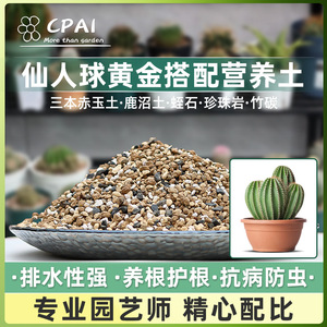 Granulés de terreau pour plantes cactus 800g, milieu nutritif à haute aération pour les succulentes et le jardinage floral - Product Image 5