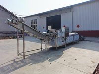 Continue Automatische Voor Het Bleken Van De Koelmachine Voor Het Bleken Van Groenten En Fruit Met Grote Capaciteit