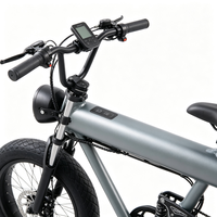 Vélo électrique rétro à gros pneus 48V avec écran LCD