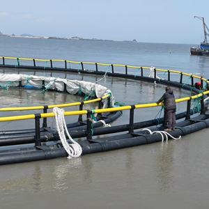 กรงดักปลา HDPE & PE/ไนลอนพร้อมอายุการใช้งาน15ปีสำหรับการเลี้ยงมิลค์ฟิชในทะเล - Product Image 1