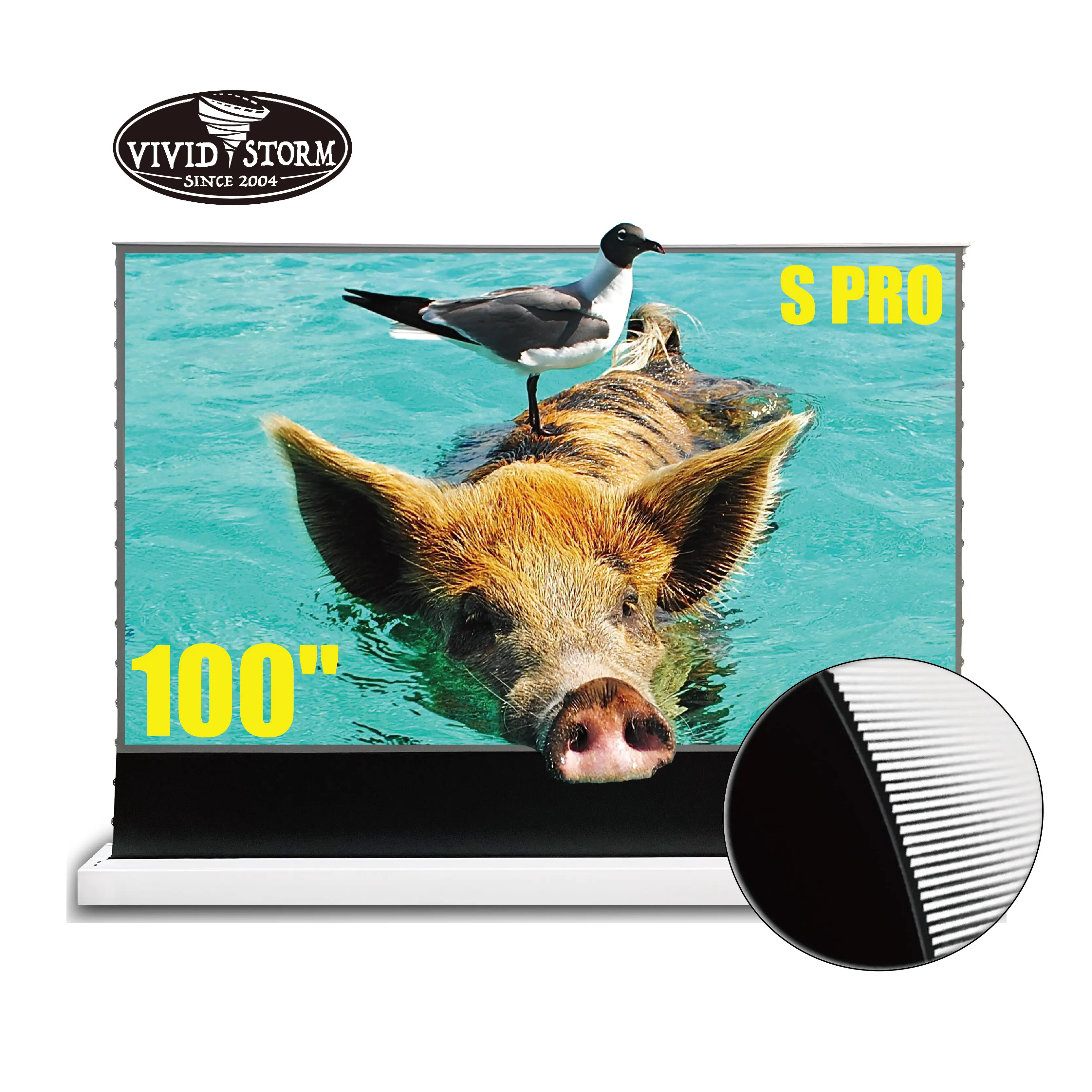 VIVID STORM S PRO 100 Zoll CLR Rolla ble Projector Screen mit Stand Electric Tension Floor Filmleinwand UST Laser TV