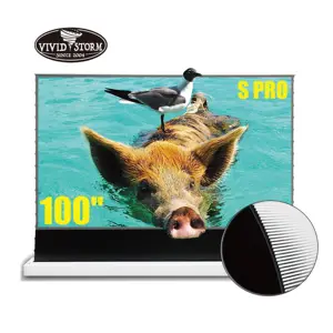 VIVIDSTORM S PRO 100 inch CLR Rollable Projector Screen with Stand Electric Tension Floor movie screen UST laser TV