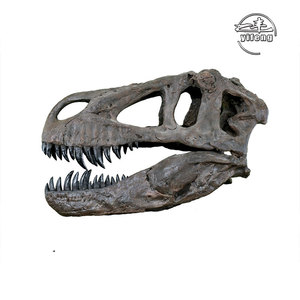 Museo Exposición Tamaño real Esqueleto de dinosaurio artificial Simulación al aire libre Esqueleto de <span class=keywords><strong>dinosaurios</strong></span> - Product Image 2