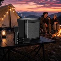 Altavoz Inalámbrico Portátil Profesional de 10 W, Altavoz de Karaoke Inalámbrico, Altavoz Bluetooth con 2 Micrófonos A826