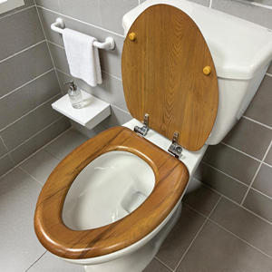 Siège de toilette en bois moulé avec placage en bois massif, charnière métallique durable, rond/allongé, fabriqué en Chine - Product Image 5