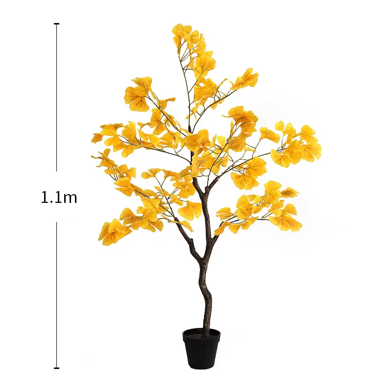 Arbre ginkgo 110 cm, tige unique.