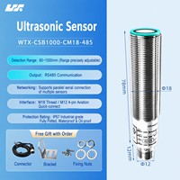 Sensor de Nivel Ultrasónico IP67 con Salida Analógica RS485, Rango de 60-1000 mm, Conector M12 para Monitoreo de Nivel de Tanques a Larga Distancia