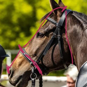 Masque anti-mouches pour <span class=keywords><strong>chevaux</strong></span>, haute performance, protection UV, polyester durable, ajustement confortable, ouverture sur le devant, utilisation stable, protection des yeux et de la peau. - Product Image 6