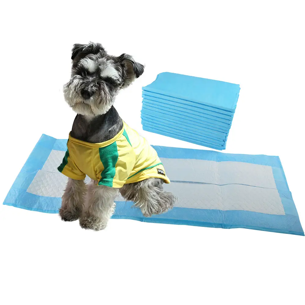 Private Label Pet Care Small 5Layer Puppy Training Wc Plas Pads