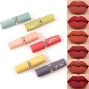 Hengfang Silky Touch Velvet Matte Rouge à lèvres haute pigmentation personnalisé beauté cosmétique rouge à lèvres mat