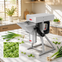 Machine à pâte d'ail robuste en acier inoxydable, broyeur d'ail pour l'industrie agroalimentaire