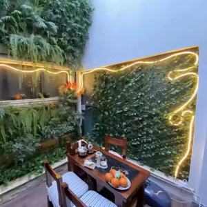 Bande lumineuse LED flexible en PVC pour extérieur, 110V/220V COB 50m 288LEDs IP65 étanche, avec CRI90 2700K blanc chaud, dimmable - Product Image 4