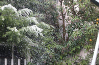 Machine à neige 1500W avec effet de neige artificielle réaliste, générateur de neige extérieur pour les événements de Noël, les mariages, les fêtes