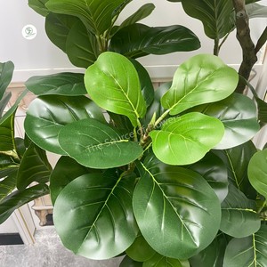 Cây giả Ficus Pandurata bán buôn, trồng chậu, mô phỏng cao, cây sung giả <span class=keywords><strong>bonsai</strong></span> để trang trí - Product Image 6