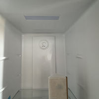 Réfrigérateur Samsung de qualité Huazos 310L, congélateur vertical à porte simple, sans givre, en acier inoxydable, pour usage domestique, économique en énergie