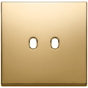 Vintage Gold <b>Plate</b> Wall <b>Switch</b> Cover 2 Gang 9.5 In Length 1.4 In Height - Product Image 1